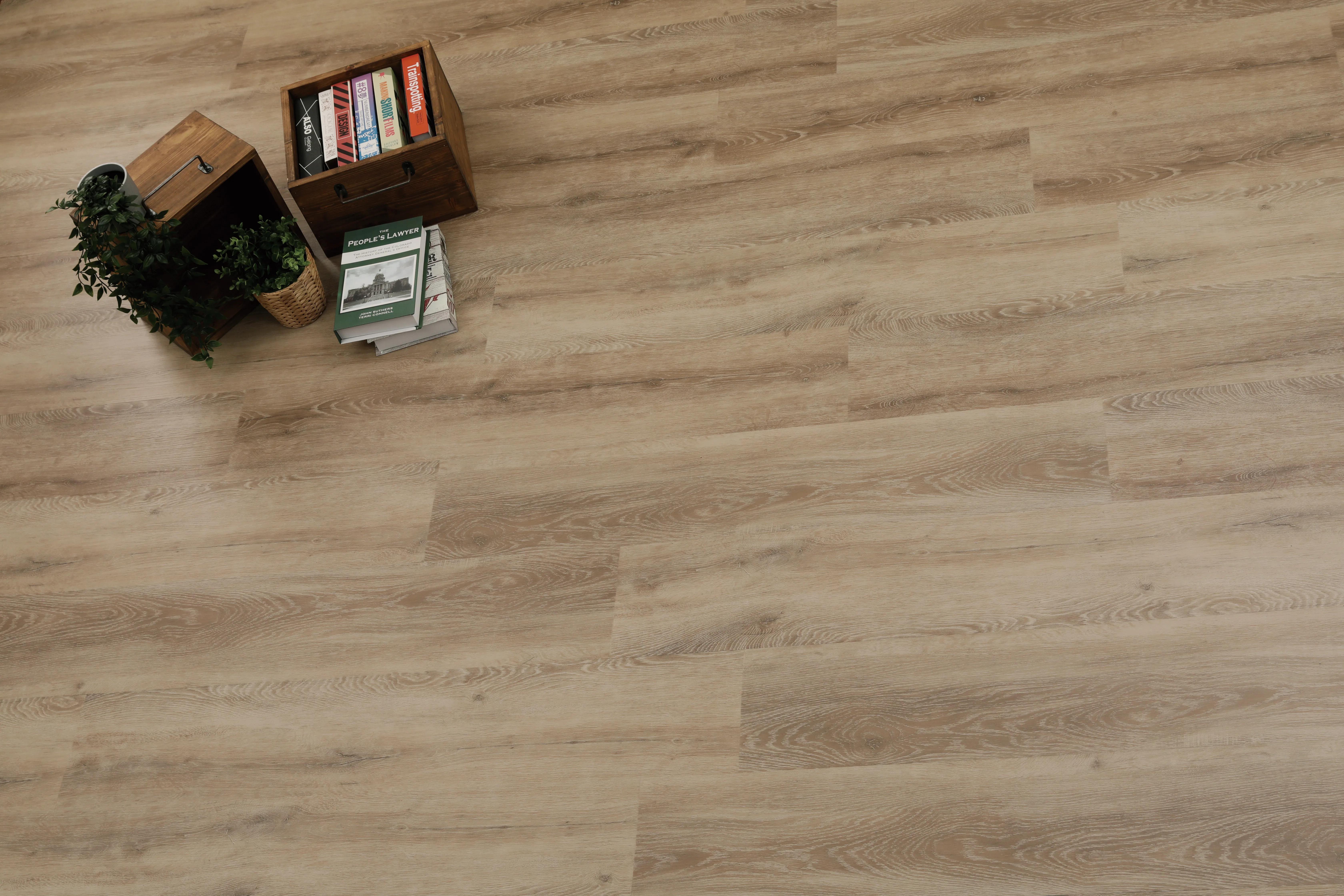 LVT Oak Drift